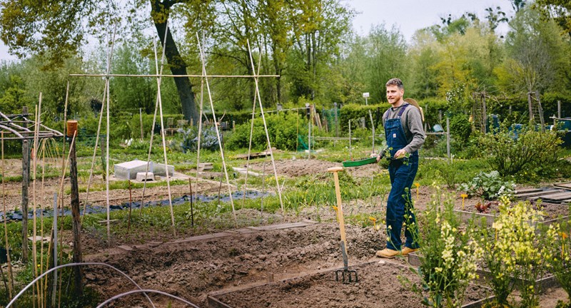 ‘Het begon met een avocadopit’