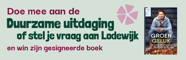 Lodewijk Hoekstra Duurzame Uitdaging.png