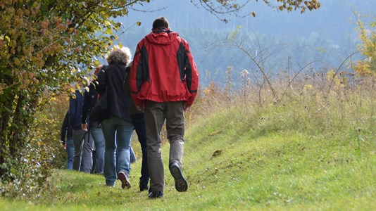 Verwonderwandeling: Vriendschap