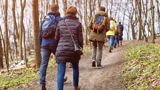 Stiltewandeling