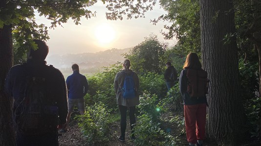 Stiltewandeling