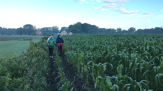 24 uur in de natuur